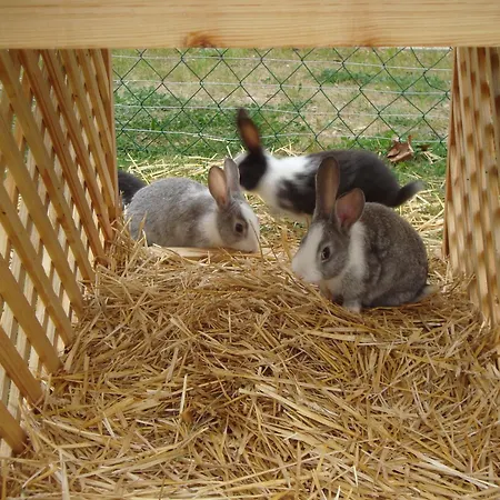 アパートホテル Termal Es Bungalok 4*