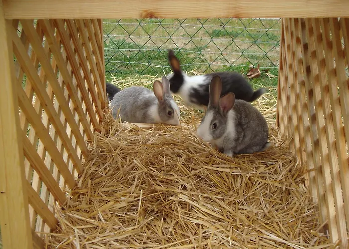 Lejlighedshotel Termal Es Bungalok 4*